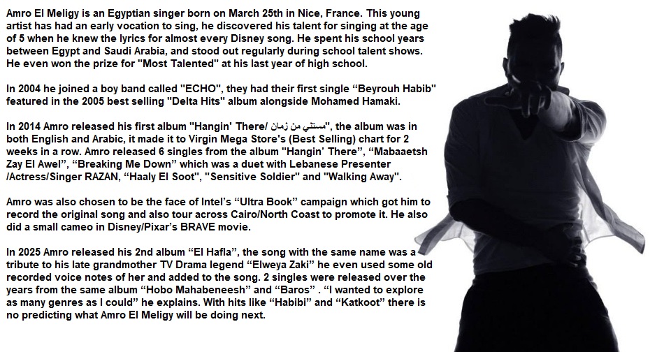 AMRO EL MELIGY